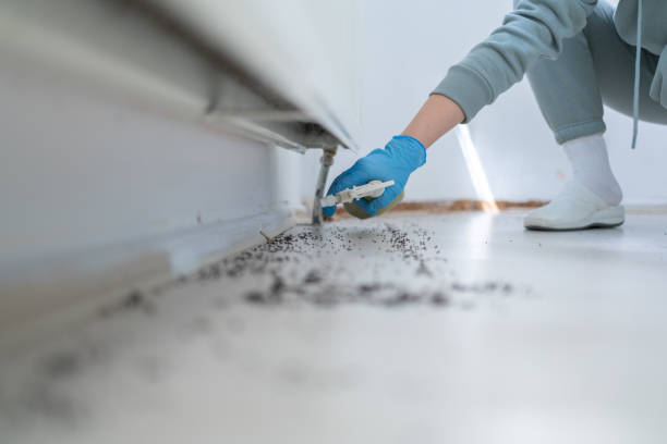 Best Exterminator Services  in Taos, NM